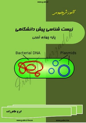 جزوه ی زیست پیش - فصل اول : پروتئین سازی